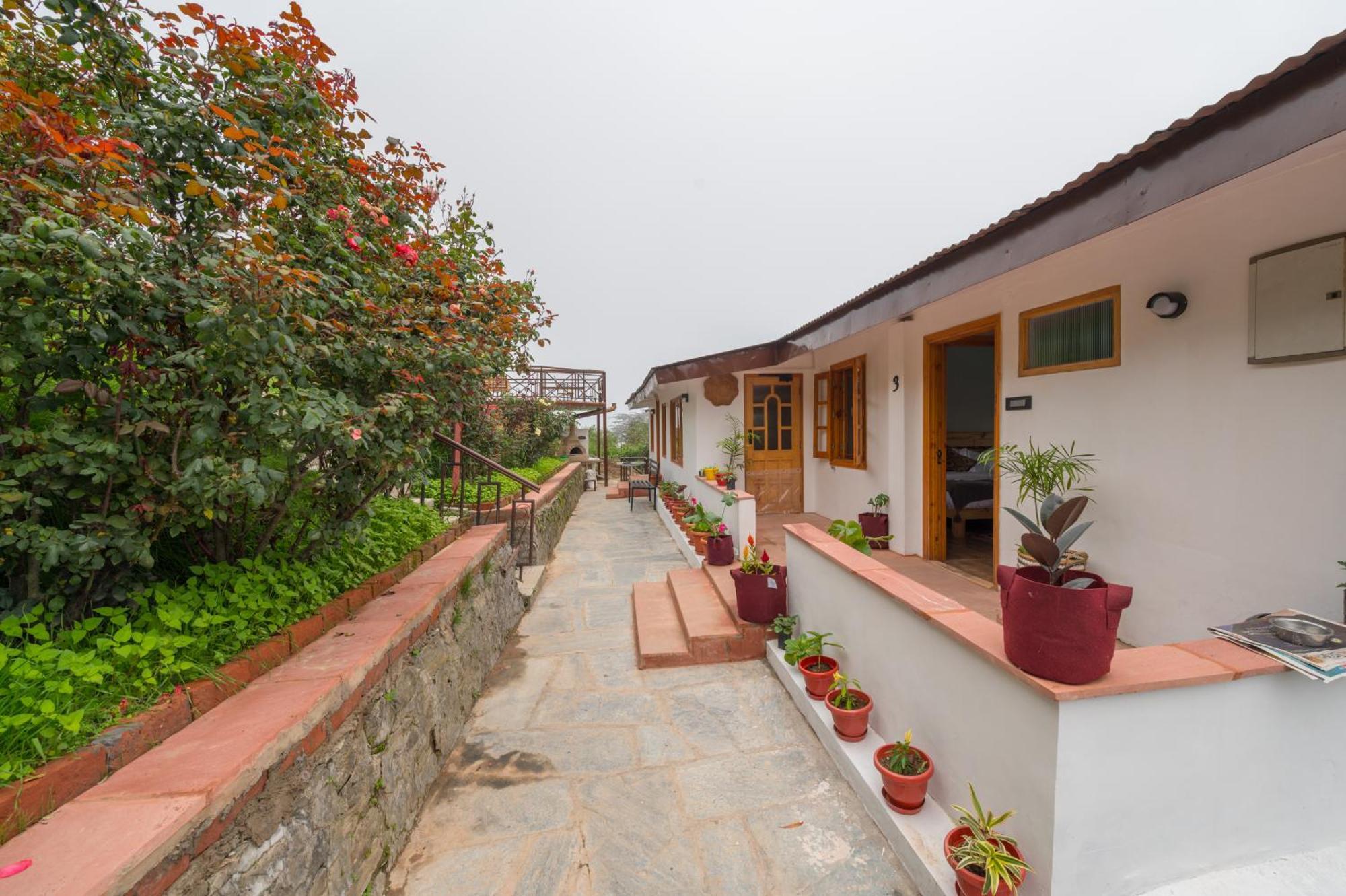 Cedar Hill Lodge - A Boutique Homestay Mashobra Exterior foto